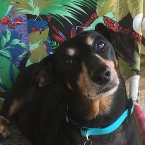 Meet your Posher, Matthew